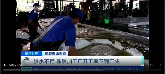膠水不足，橡膠加工廠開工率不到五成
