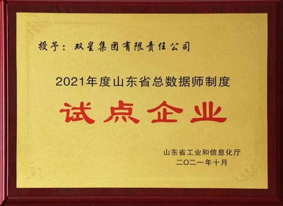 雙星輪胎進入試點企業名單! 雙星輪胎進入試點企業名單!