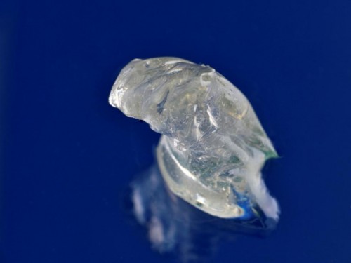 在世界上首次利用發酵生產丁二烯,成功獲得的聚丁二烯橡膠 在世界上首次利用發酵生產丁二烯,成功獲得的聚丁二烯橡膠