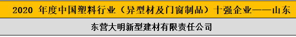 2020 年度中國塑料行業（異型材及門窗制品）十強企業——山東