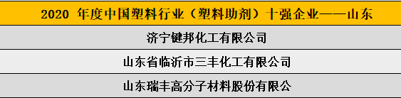 2020 年度中國塑料行業（塑料助劑）十強企業——山東