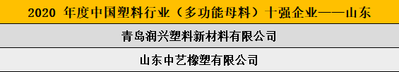2020 年度中國塑料行業（多功能母料）十強企業——山東