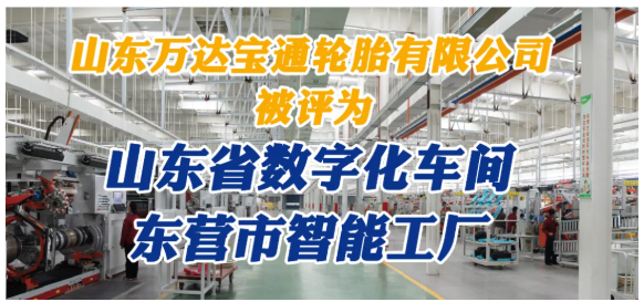 山東萬達寶通輪胎對其全年工作做了詳細總結。