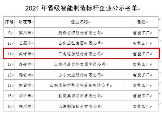 三角輪胎入選2021年度“山東省智能制造標桿企業”