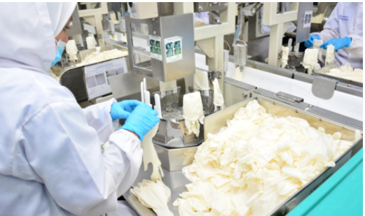 5.馬來西亞橡膠業重新啟用外國勞工 5.馬來西亞橡膠業重新啟用外國勞工