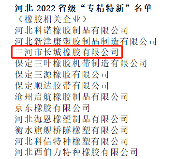 長城橡膠被認定為2022年省級專精特新中小企業