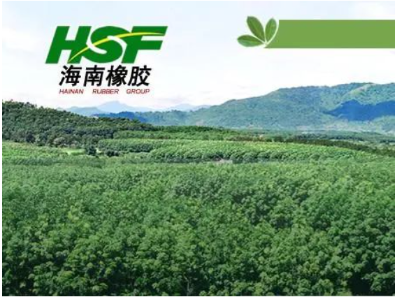 公司在不具有商業(yè)實(shí)質(zhì)的情況下進(jìn)行會(huì)計(jì)處理,導(dǎo)致多期年度報(bào)告財(cái)務(wù)信息披露不真實(shí),違反了多項(xiàng)規(guī)定。 公司在不具有商業(yè)實(shí)質(zhì)的情況下進(jìn)行會(huì)計(jì)處理,導(dǎo)致多期年度報(bào)告財(cái)務(wù)信息披露不真實(shí),違反了多項(xiàng)規(guī)定。