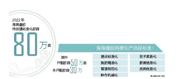 海南橡膠多舉措推進標準化膠園建設 推動天然橡膠產業提質增效 海南橡膠多舉措推進標準化膠園建設 推動天然橡膠產業提質增效