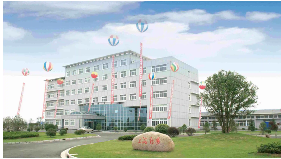 上海新陽 上海新陽