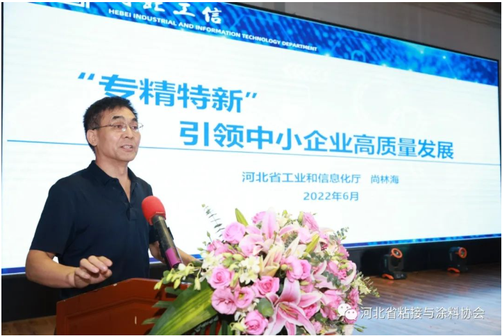 ，河北省工業(yè)和信息化廳尚林海處長(zhǎng)就“專精特新”引領(lǐng)中小企業(yè)高質(zhì)量發(fā)展進(jìn)行專題報(bào)告