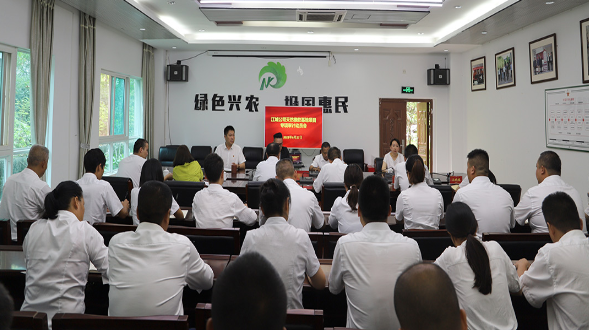 云膠集團審計工作組專項審計江城公司天然橡膠基地建設項目 云膠集團審計工作組專項審計江城公司天然橡膠基地建設項目
