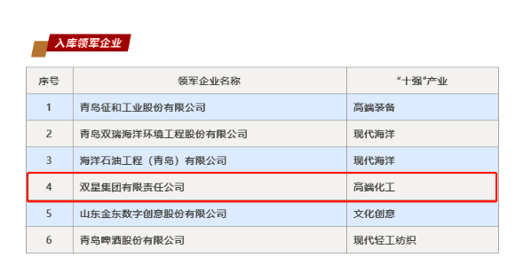 雙星獲評山東省“十強”產業集群領軍企業