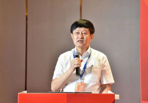 李彬 中國石油和化學工業聯合會副會長