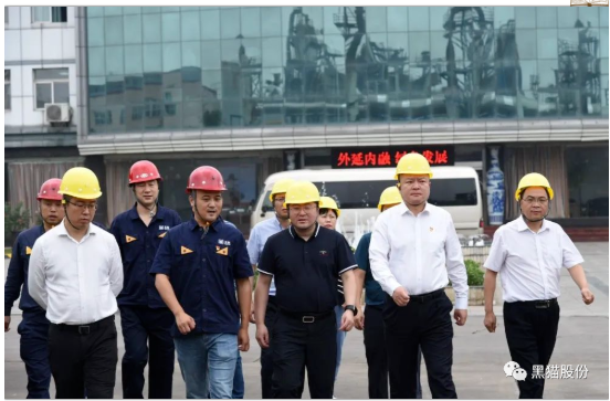 韓城市副市長斯宏浩一行到韓城黑貓調(diào)研指導