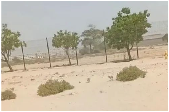 阿聯酋絕大部分地區是沙漠和洼地，起伏不平的路面會對輪胎造成一定的沖擊