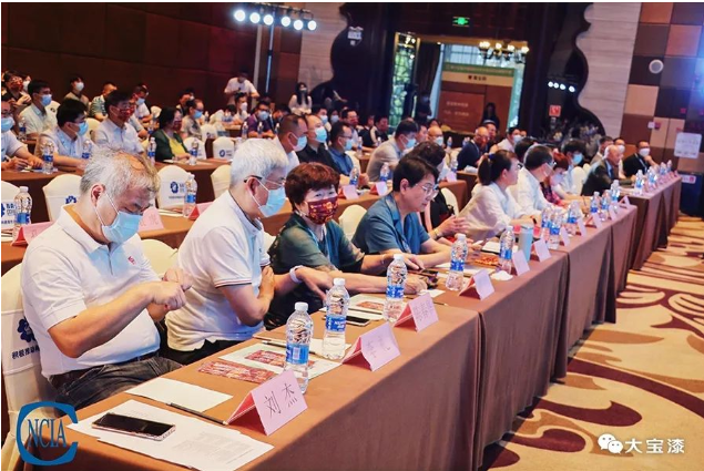 中國國際水性木器涂料研討會會議現場 中國國際水性木器涂料研討會會議現場