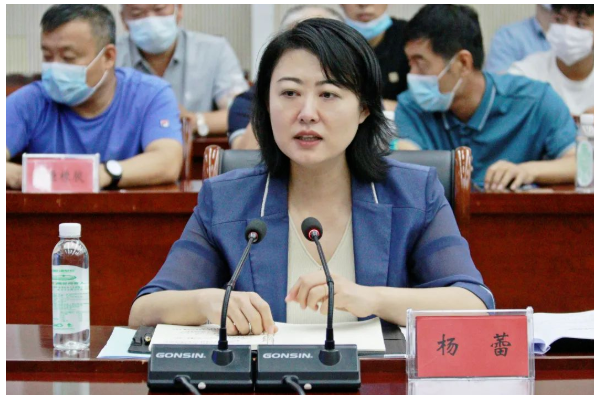 邢臺市任澤區委書記楊蕾等區委、區政府領導,陪同專家組調研了河北省重點特色產業集群——任澤區橡塑材料產業集群 邢臺市任澤區委書記楊蕾等區委、區政府領導,陪同專家組調研了河北省重點特色產業集群——任澤區橡塑材料產業集群