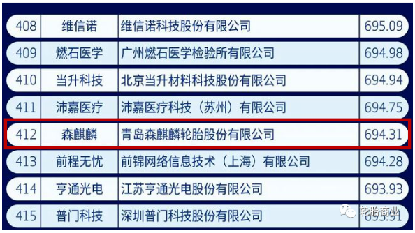 中國新經(jīng)濟(jì)500強(qiáng)，森麒麟入選