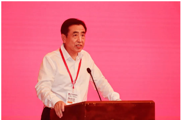 山東省橡膠行業協會理事會副會長袁仲雪講話 山東省橡膠行業協會理事會副會長袁仲雪講話