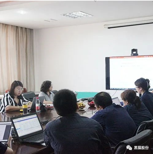 杭州德凱國際認證有限公司對江西黑貓炭黑股份有限公司進行了為期三天的年度監審認證工作