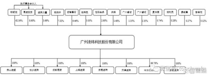 胡湘仲胡穎妮父女為實控人 胡湘仲胡穎妮父女為實控人