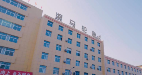 輪胎公司產量翻番,銷售額大漲 輪胎公司產量翻番,銷售額大漲