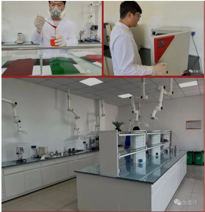 此次魚童入選國家級專精特新“小巨人”企業，是對公司在涂料領域專業化、精細化、特色化、新穎化等方面所做努力的認可，也是對魚童產品品質、創新能力、市場競爭力等綜合實力的充分認可。
