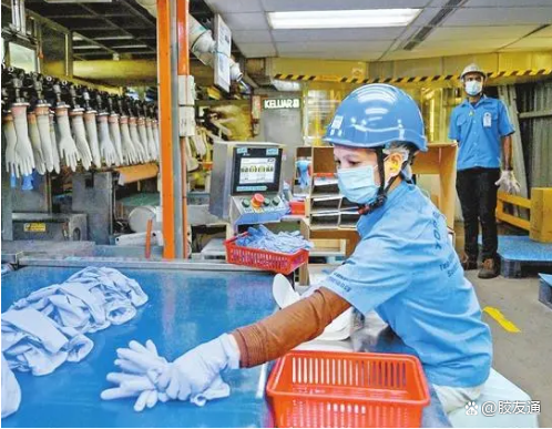 轉嫁額外成本是馬來西亞手套制造商面臨的一大挑戰 轉嫁額外成本是馬來西亞手套制造商面臨的一大挑戰