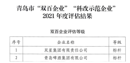 10.雙星集團(tuán)，全國(guó)國(guó)企改革“雙百企業(yè)”標(biāo)桿!