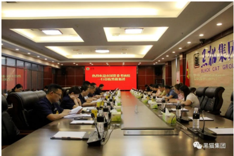王新龍一行到黑貓集團調研指導