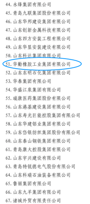 其中玲瓏輪胎、賽輪集團、萬達集團、華勤橡膠、三角輪胎、豪邁集團,入圍山東民營企業吸納就業 100 強名單。 其中玲瓏輪胎、賽輪集團、萬達集團、華勤橡膠、三角輪胎、豪邁集團,入圍山東民營企業吸納就業 100 強名單。