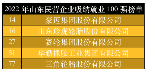 山東民營企業吸納就業100強榜單中,豪邁集團、玲瓏輪胎、賽輪集團、華勤橡膠、三角輪胎位列其中。作為勞動力較為密集的制造業,以上5家輪胎及相關企業吸納就業數千人。 山東民營企業吸納就業100強榜單中,豪邁集團、玲瓏輪胎、賽輪集團、華勤橡膠、三角輪胎位列其中。作為勞動力較為密集的制造業,以上5家輪胎及相關企業吸納就業數千人。