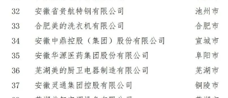 在合肥召開的第五屆2022世界制造業大會中國民營制造業合作交流對接會上，正式對外發布了2022安徽省民營企業制造業綜合百強。