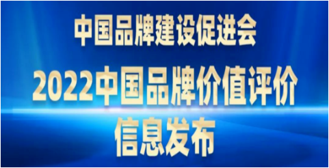 新華社：6大山東輪胎品牌價值榜！