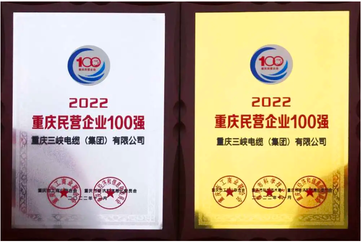 三峽電纜蟬聯(lián)“重慶民營企業(yè)100強”“重慶制造業(yè)民營企業(yè)100強” 三峽電纜蟬聯(lián)“重慶民營企業(yè)100強”“重慶制造業(yè)民營企業(yè)100強”