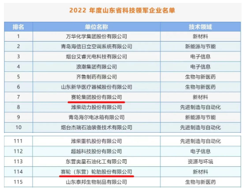 賽輪集團入選2022年度山東省科技領軍企業 賽輪集團入選2022年度山東省科技領軍企業