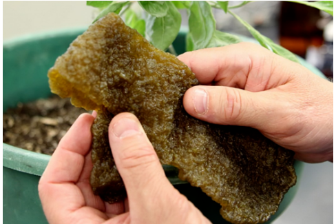 輪胎廠新項目,獲政府2.5億資助! 輪胎廠新項目,獲政府2.5億資助!