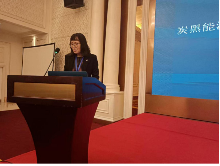 中橡協(xié)炭黑分會秘書長丁麗萍,向參會代表匯報了炭黑分會近期工作情況及2023年重點工作安排,包括3項團體標準的立項和《炭黑制造技術(shù)與科學》新書編制出版等。 中橡協(xié)炭黑分會秘書長丁麗萍,向參會代表匯報了炭黑分會近期工作情況及2023年重點工作安排,包括3項團體標準的立項和《炭黑制造技術(shù)與科學》新書編制出版等。