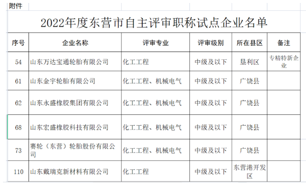 職稱自主評審,5家輪胎企業試點! 職稱自主評審,5家輪胎企業試點!