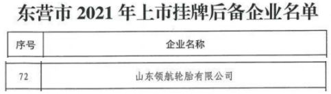 領航輪胎 領航輪胎