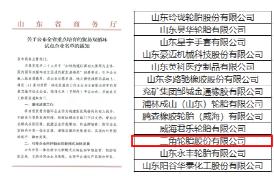 三角輪胎作為內外貿發展突出的企業和資源綜合利用的先進單位,成功入選兩項名單。 三角輪胎作為內外貿發展突出的企業和資源綜合利用的先進單位,成功入選兩項名單。