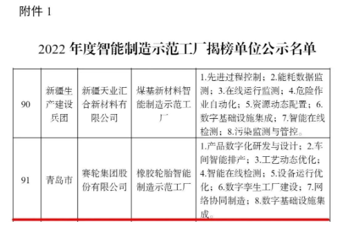 賽輪集團，上榜國家級名單