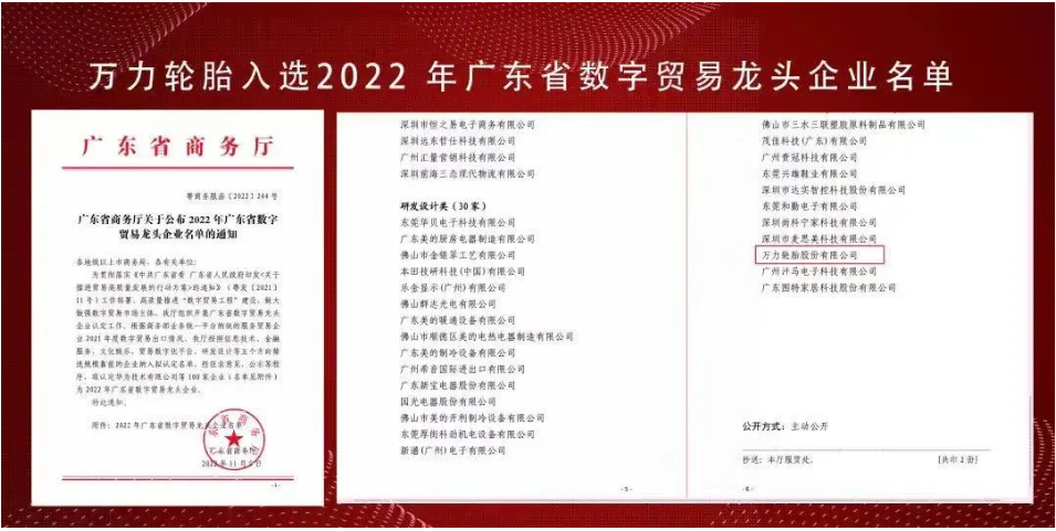 萬力輪胎，入選省級龍頭企業！