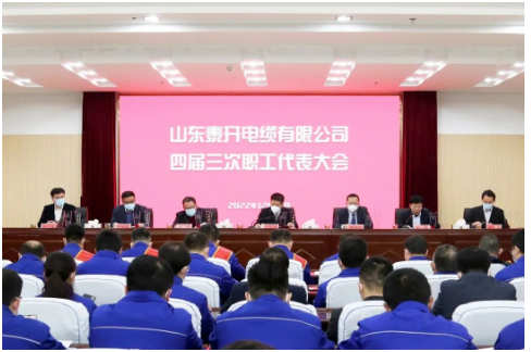 泰開電纜董事長盧俊良作重要講話。 泰開電纜董事長盧俊良作重要講話。