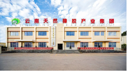 聲明稱,該公司是“金鳳”牌天然橡膠商標的唯一所有人。 聲明稱,該公司是“金鳳”牌天然橡膠商標的唯一所有人。