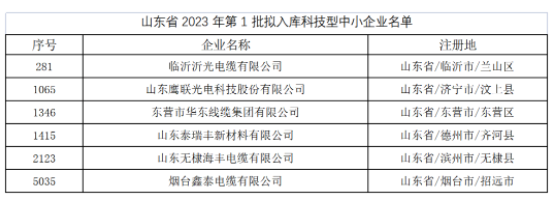 其中，東營市華東線纜集團(tuán)有限公司、臨沂沂光電纜有限公司、山東鷹聯(lián)光電科技股份有限公司、山東泰瑞豐新材料有限公司、山東無棣海豐電纜有限公司、煙臺鑫泰電纜有限公司等多家電線電纜企業(yè)進(jìn)入山東省2023年第1批擬入庫科技型中小企業(yè)名單。