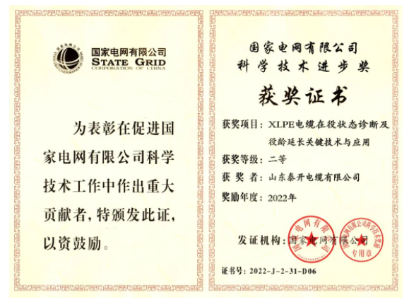 山東泰開電纜有限公司憑借其“XLPE電纜在役狀態診斷及役齡延長關鍵技術與應用”項目，獲得了國家電網有限公司的“科學技術進步獎”，這是對該公司近年來高質量發展的充分肯定。