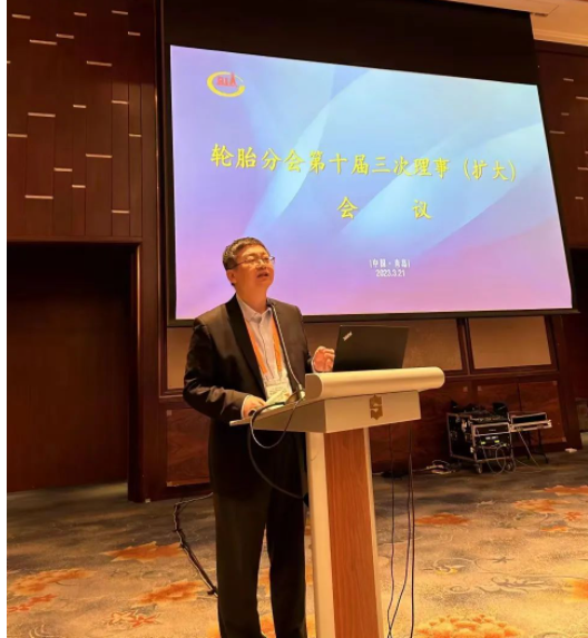 輪胎分會秘書長史一鋒向理事會匯報了2022年輪胎分會秘書處工作及2023年工作計劃