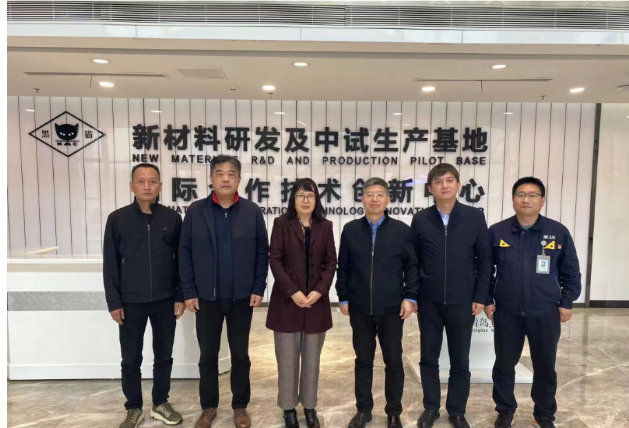 中國橡膠工業(yè)協(xié)會炭黑協(xié)會秘書長丁麗萍、中昊黑元化工研究設(shè)計(jì)院王家貴院長一行考察了青島黑貓研究院。黑貓股份黨委副書記、總經(jīng)理魏明陪同考察組一同參觀了中試車間、黑貓文化展廳、研發(fā)中心及產(chǎn)學(xué)研中心。