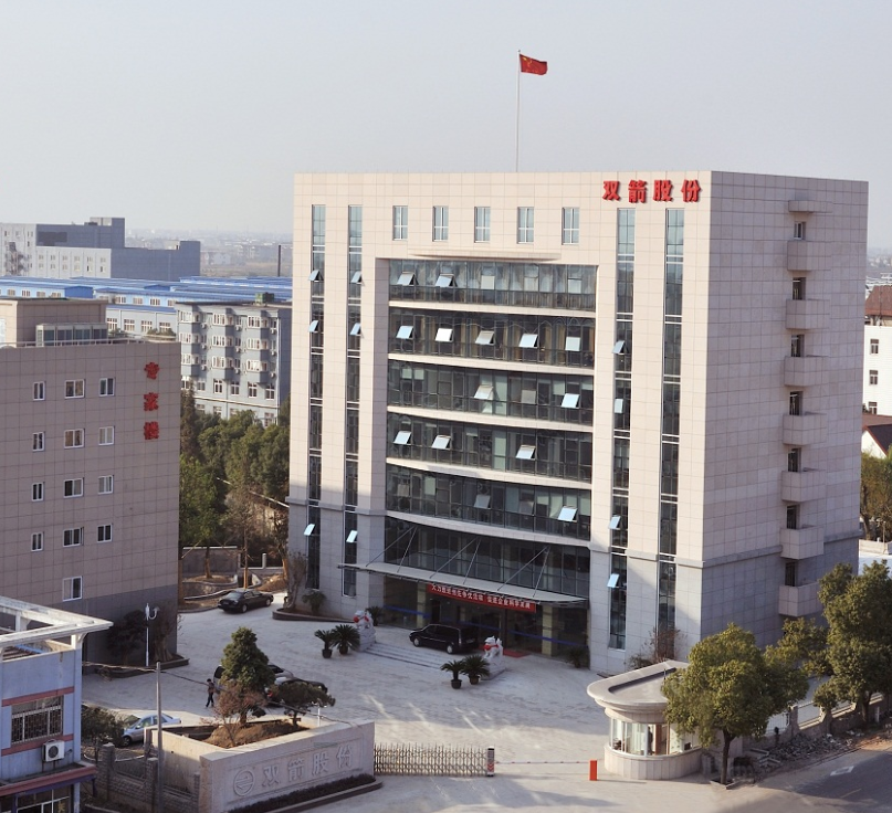 該項目旨在改變傳統公路運輸方式，建設封閉式運輸皮帶廊道，利用智能化手段對砂石運輸實現全程監控，構建低碳物流和綠色供應鏈。此次合同的獲簽，表明雙箭股份憑借領先的技術水平、卓越的產品質量、完善的服務體系等綜合競爭優勢，已深受客戶認可和信賴。